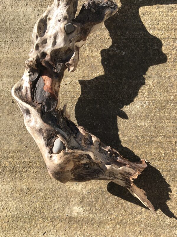 Grande branche torsadée de bois flotté vue 4