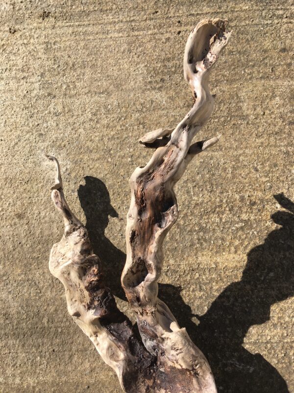 Grande branche torsadée de bois flotté vue 5