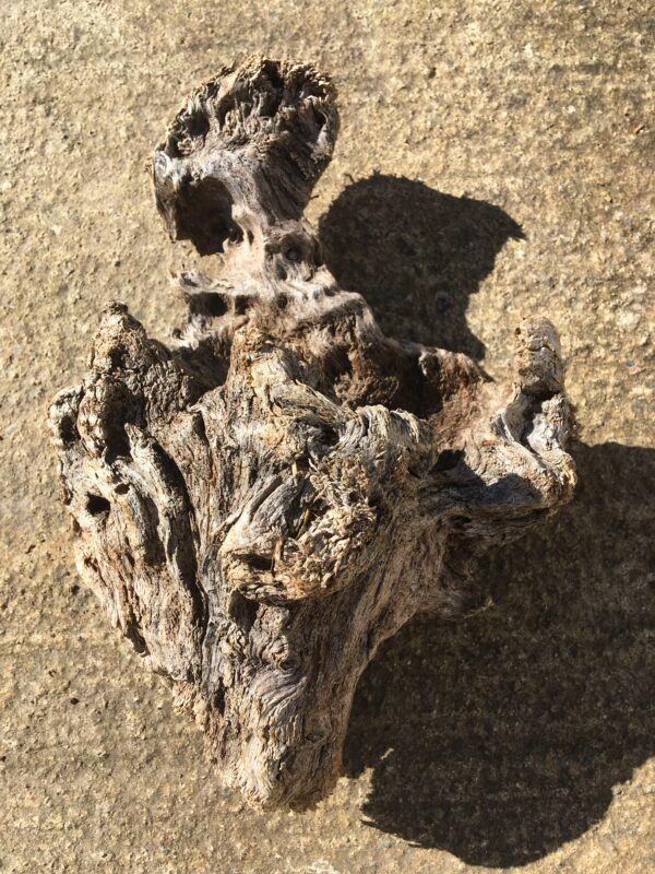 Souche de bois flotté naturel vue 1