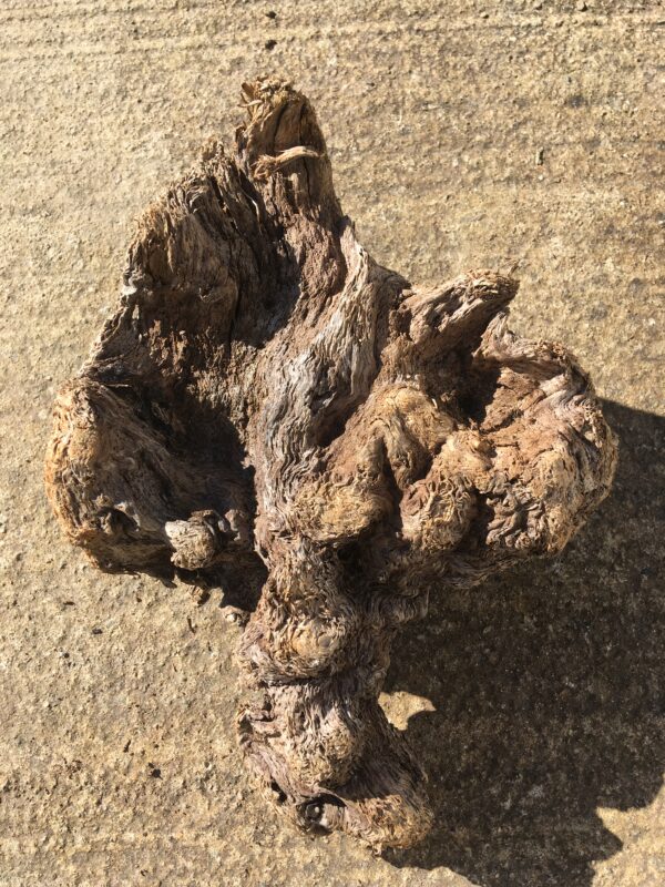 Souche de bois flotté naturel vue 2