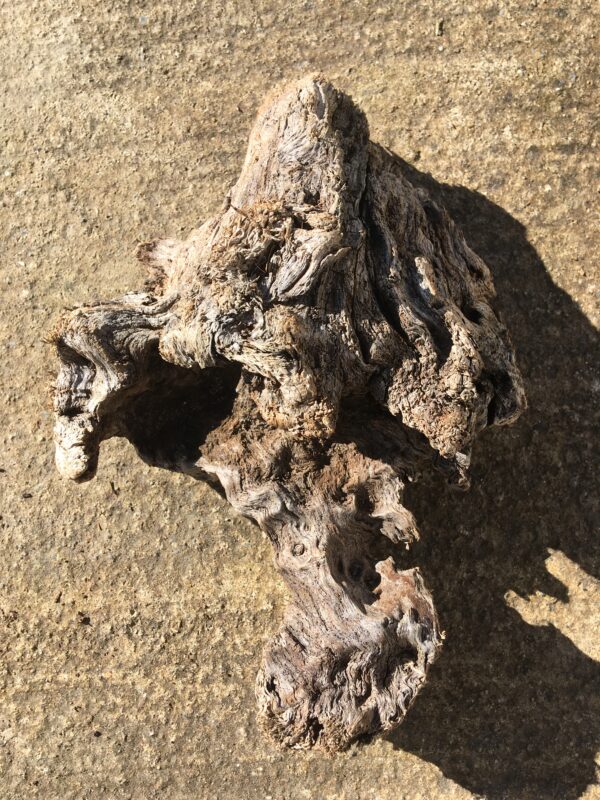 Souche de bois flotté naturel vue 3
