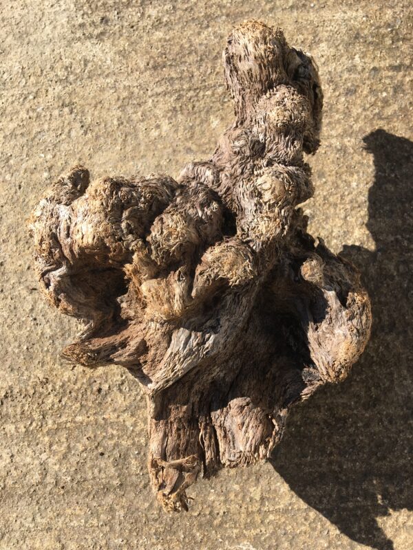 Souche de bois flotté naturel vue 4