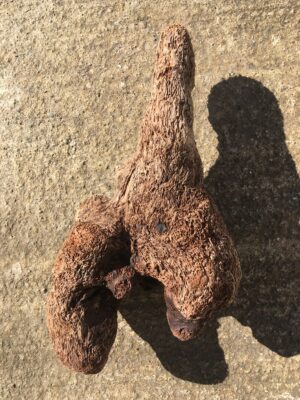 Souche de bois flotté pointue vue 1