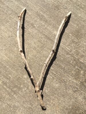 Branche de bois flotté en forme de V vue 1