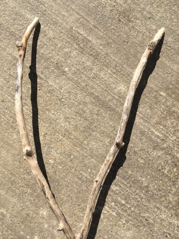 Branche de bois flotté en forme de V vue 3