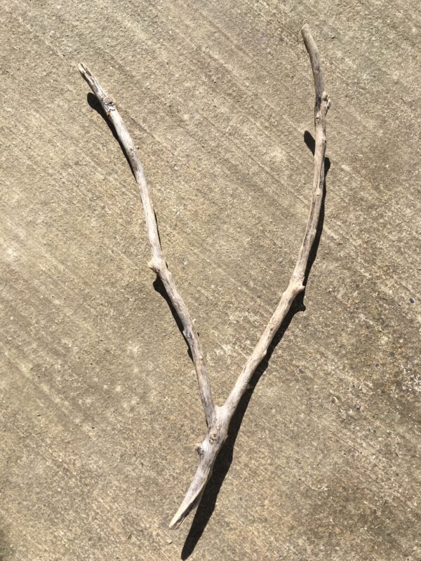 Branche de bois flotté en forme de V vue 4