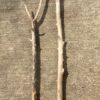 Lot de 2 branches de bois flotté vue 1