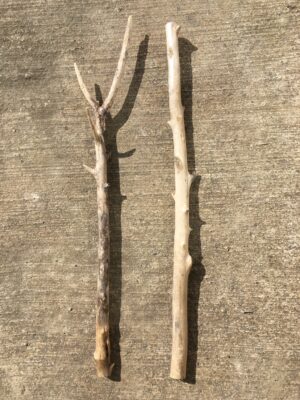 Lot de 2 branches de bois flotté vue 1