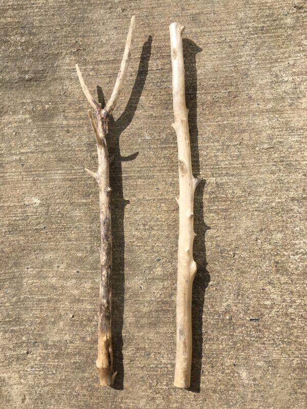 Lot de 2 branches de bois flotté vue 1