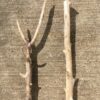 Lot de 2 branches de bois flotté vue 2