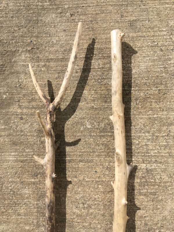 Lot de 2 branches de bois flotté vue 2