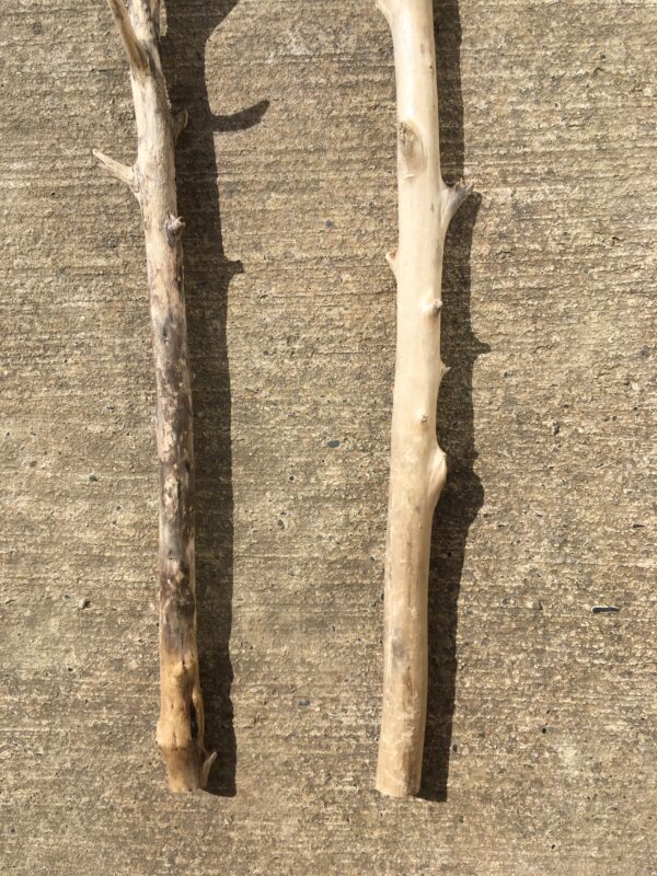 Lot de 2 branches de bois flotté vue 3