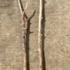 Lot de 2 branches de bois flotté vue 4