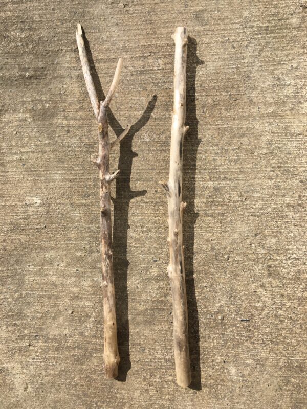 Lot de 2 branches de bois flotté vue 4