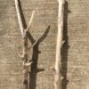 Lot de 2 branches de bois flotté vue 5