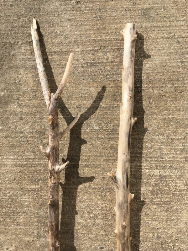 Lot de 2 branches de bois flotté vue 5