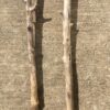 Lot de 2 branches de bois flotté vue 6