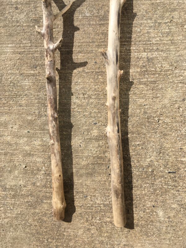 Lot de 2 branches de bois flotté vue 6
