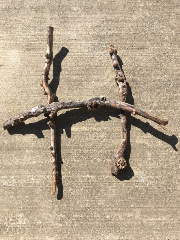 Lot de 3 branches de bois flotté torsadées vue 2