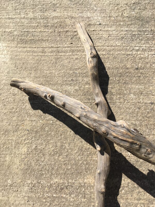 Lot de 3 branches de bois flotté torsadées vue 3