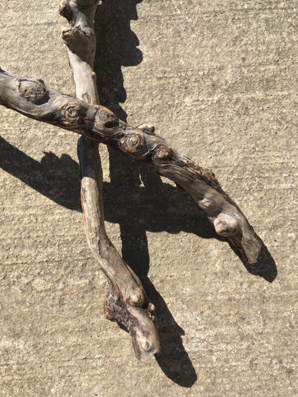 Lot de 3 branches de bois flotté torsadées vue 4