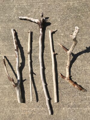 Lot de 5 branches de bois flotté droites et torsadées vue 1