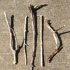 Lot de 5 branches de bois flotté droites et torsadées vue 2