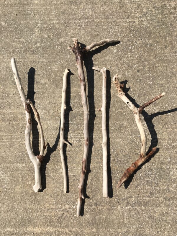 Lot de 5 branches de bois flotté droites et torsadées vue 2