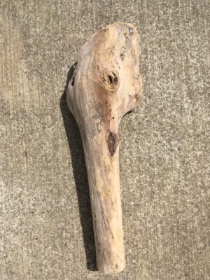Tronc de bois flotté naturel vue 1