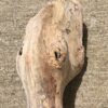 Tronc de bois flotté naturel vue 3