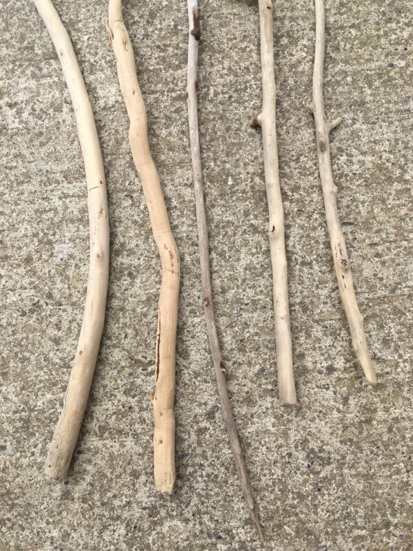 Lot de 5 branches de bois flottant vue 6