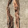 Grandes racines de bois flotté couleur ocre vue 1