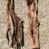 Grandes racines de bois flotté couleur ocre vue 3
