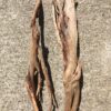 Grandes racines de bois flotté couleur ocre vue 4