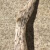 Branche massive de bois flotté vue 1