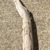 Branche massive de bois flotté vue 4