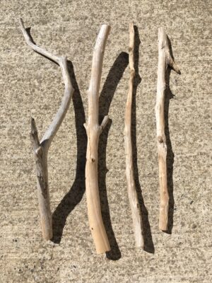 Branches de bois flotté effilées, droites et courbées vue 1