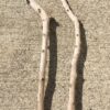 branches-bois-flotte-courbees-1 Lot de 2 branches de bois flotté courbées vue 1