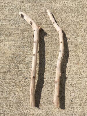 Lot de 2 branches de bois flotté courbées vue 1