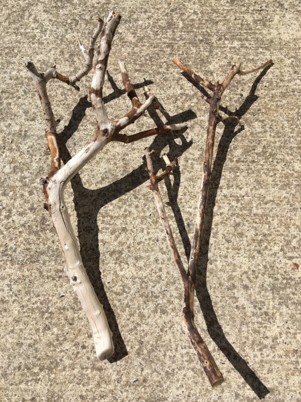2 branches de bois flotté ramifiées vue 4