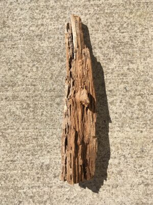 Souche de bois flotté sculptée et texturée vue 1