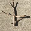 branche-bois-flotte-sculpturale ramifiee-4 Branche de bois flotté sculpturale et ramifiée vue 4